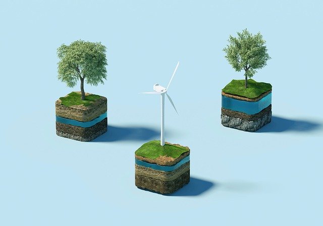 Windmill Trees Sustainability - Fleet Electric